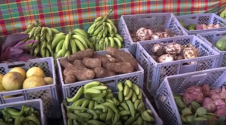 Root Crops: Vital to Agriculture and Food Security