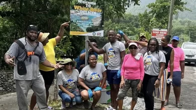Delices Community Participants