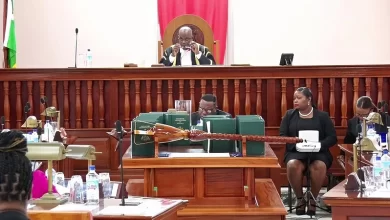 Parliament in Session Dominica
