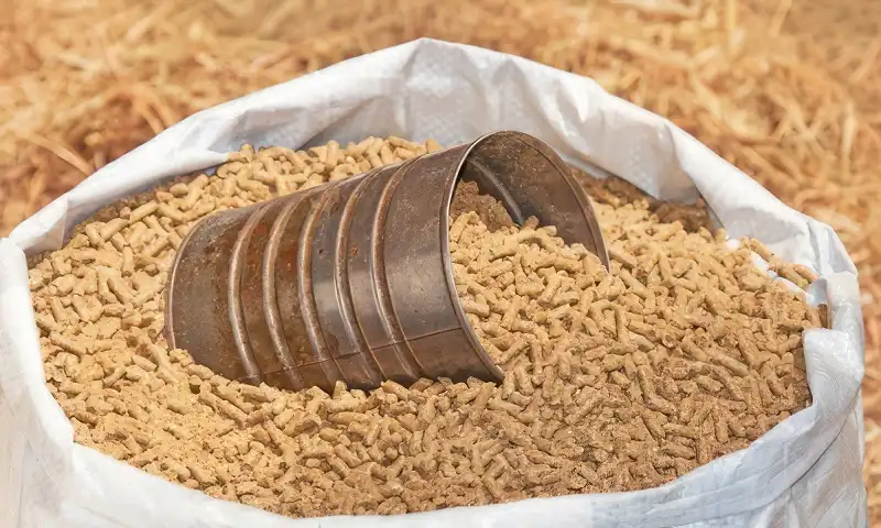 Livestock Feed