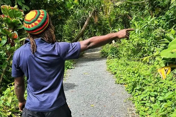 Hiking in Dominica