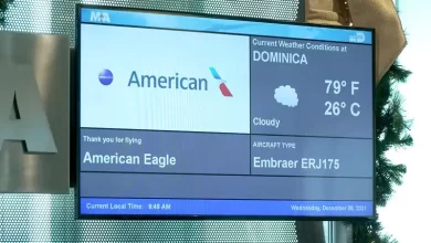 American Airlines Flight Details