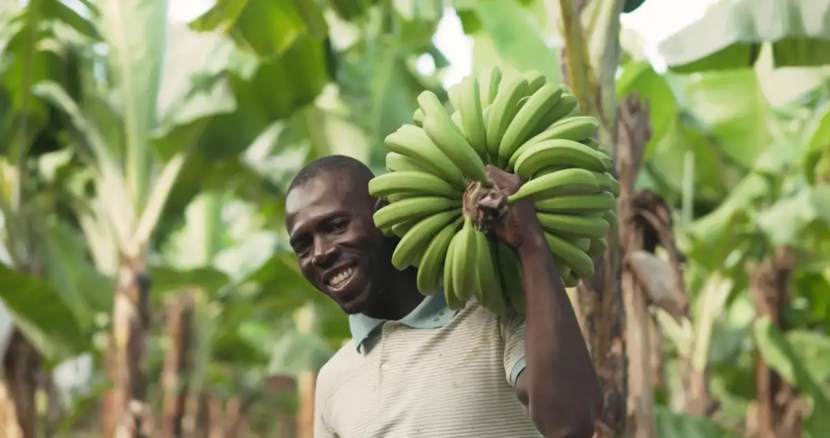 Farmer Happy