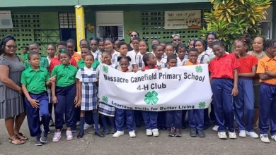 Zero Waste Schools