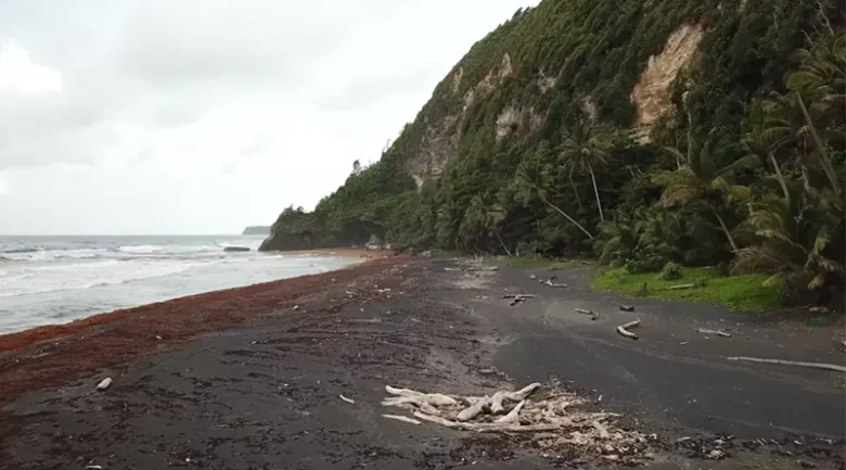 Volcanic Origins of Dominica