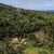 Salybia, Kalinago Village