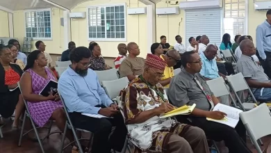 IRC Begins Public Consultation on WACC for DOMLEC