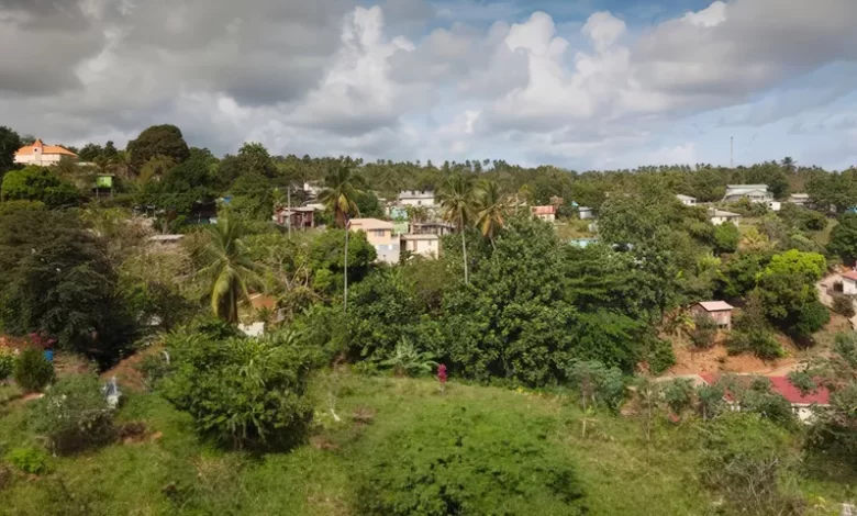 Village of Wesley