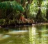 Woodford Hill River