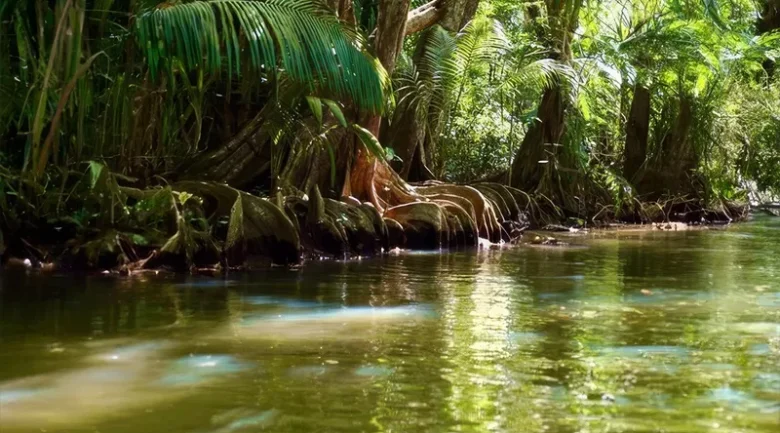 World Rivers Day