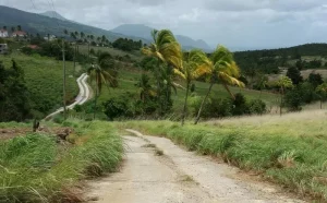 Campbell, Dominica