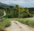Campbell, Dominica