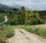 Campbell, Dominica