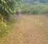 Campbell Nature Trail