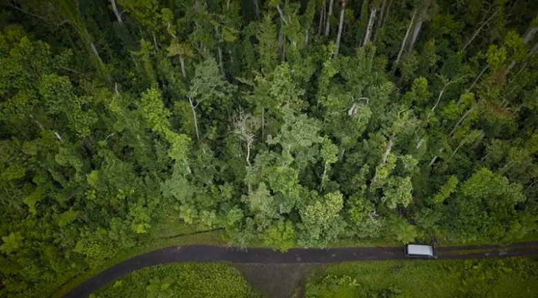Interior of Dominica