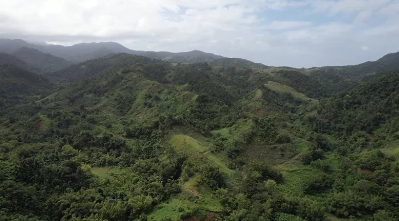 Interior of Dominica