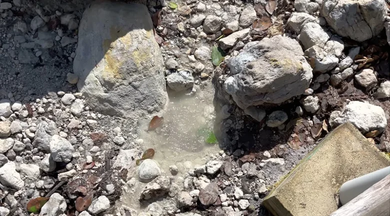 Natural Sulphur Springs in Dominica
