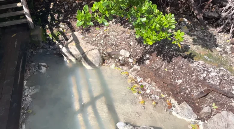 Exploring Dominica’s Geothermal Resources