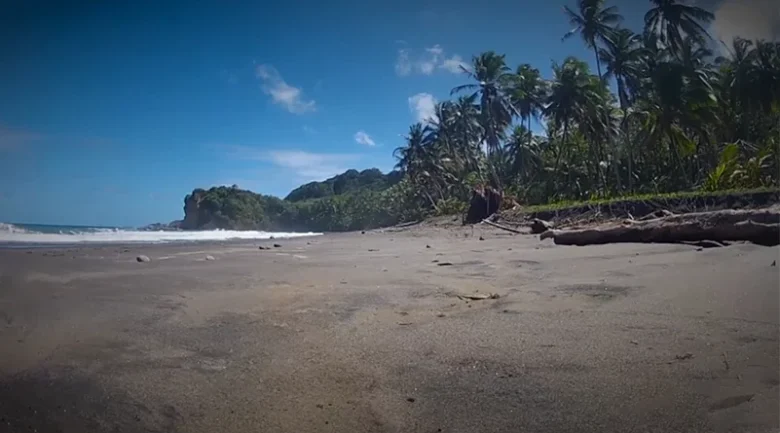 Black Sand Beaches in Dominica