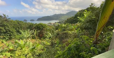 Sineku, Kalinago Village