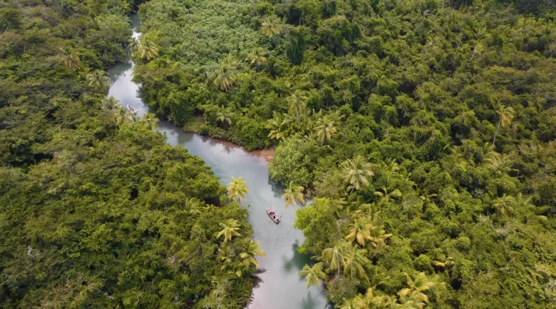 Nature Isle