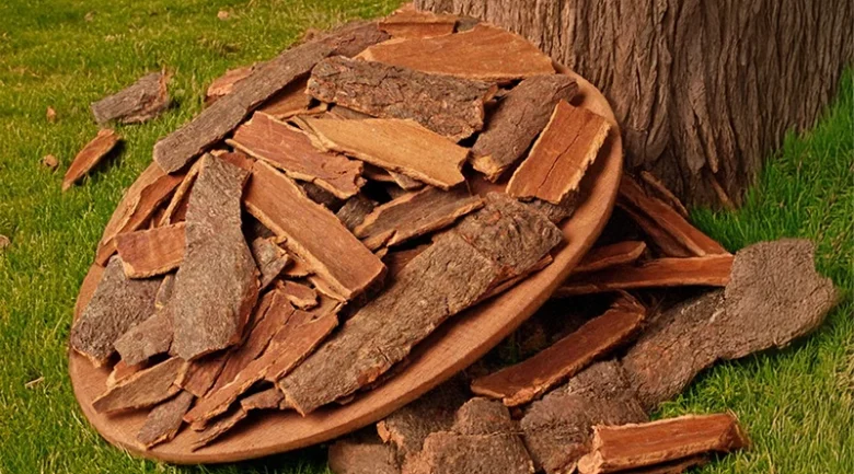Mauby Bark