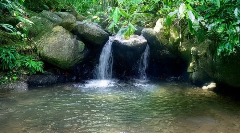 Natural Resources in Dominica