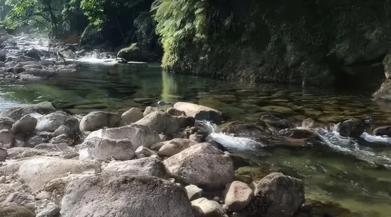 365 Rivers of Dominica
