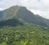 Morne Cannot