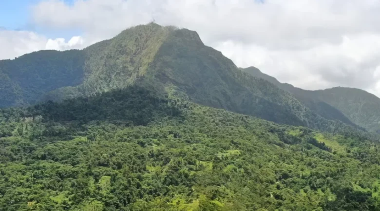 Morne Cannot