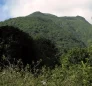 Morne Soleil