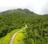 Morne Trois Pitons Trail