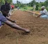 OECS/USAID Model Farm