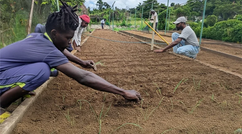 Organic Farming