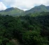 Syndicate Nature Preserve