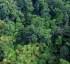 Dominica’s Climate