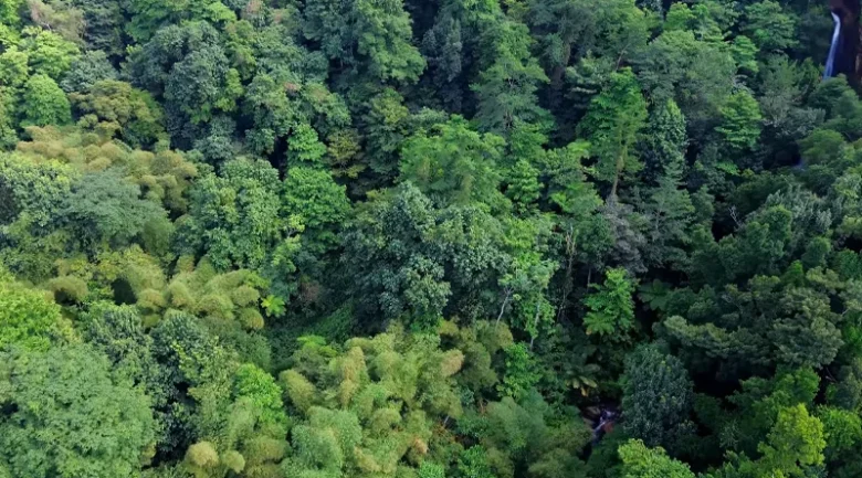 Dominica’s Climate