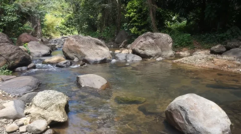 Waitukubuli National Trail: Segment #11