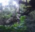 Waitukubuli National Trail: Segment #11