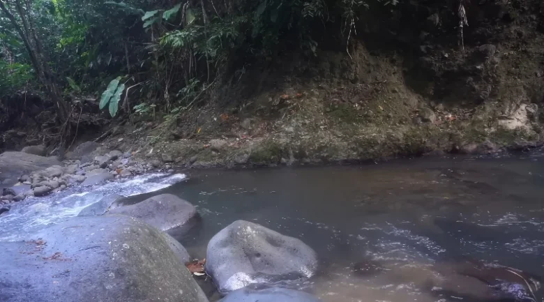 Waitukubuli National Trail: Segment #11