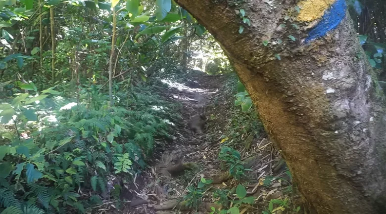 Waitukubuli National Trail (WNT)