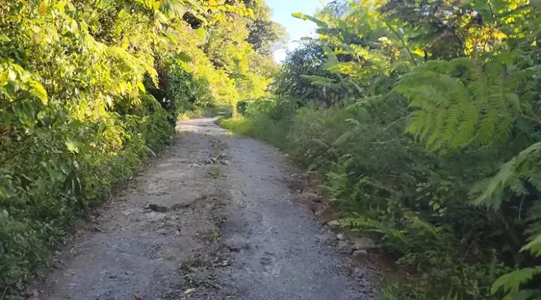 Waitukubuli National Trail Segment #9