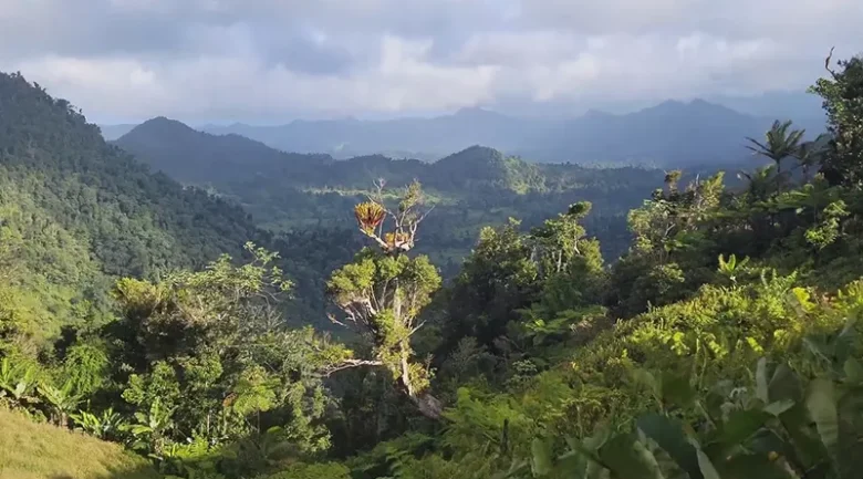 Waitukubuli National Trail Segment #9