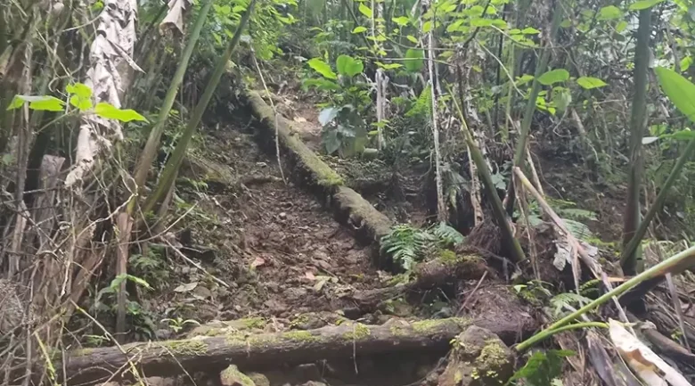Waitukubuli National Trail Segment #9