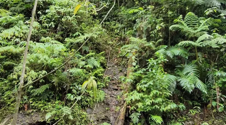 Waitukubuli National Trail Segment #9