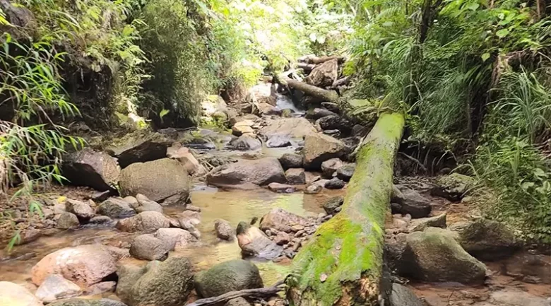 Waitukubuli National Trail Segment #9