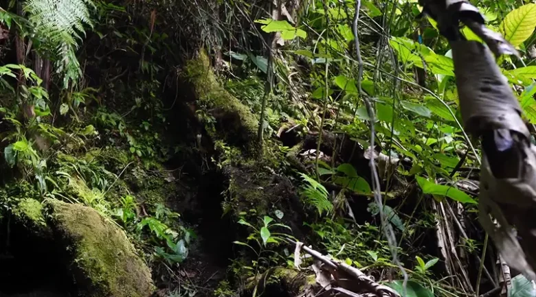 Waitukubuli National Trail Segment #9