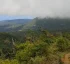 Terrain of Dominica