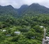 Balizier in La Plaine