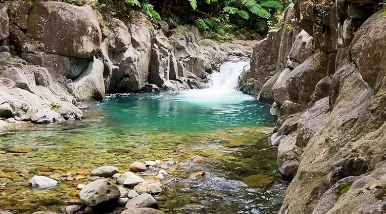 Nature Isle
